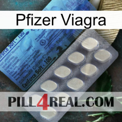 Pfizer Viagra 34